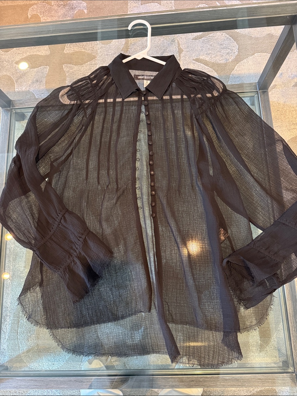 Urban Outfitters Sheer Black Button-Up Blouse